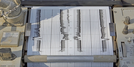 06_koden_report